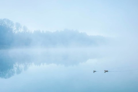 Burgaeschisee