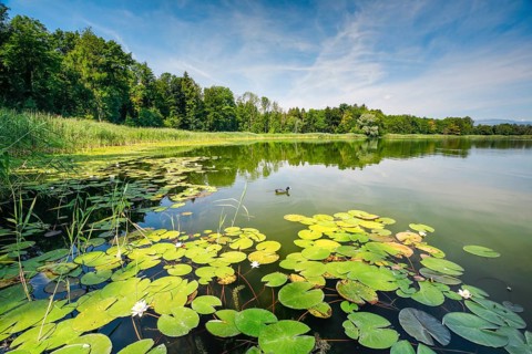 Burgaeschisee