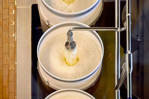 Whey and cheese mixture