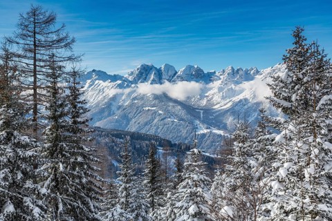 Winter landscape