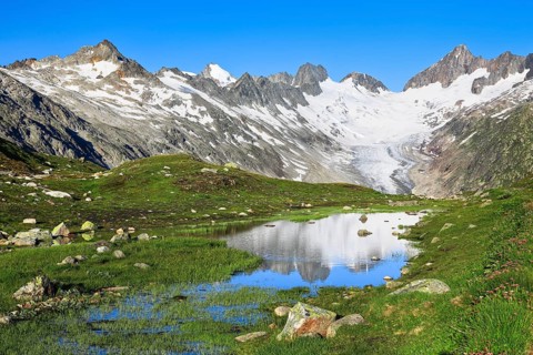 Swiss Alps