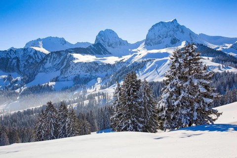 Swiss Pre-Alps