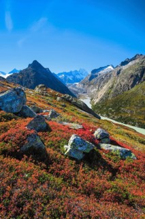 Oberaar at the Grimsel Pass