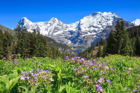 Eiger