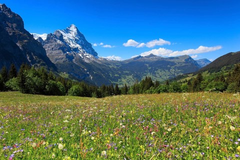 Eiger