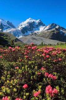 Val Roseg with Piz Roseg