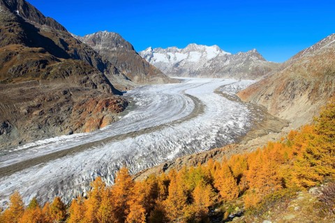 Great Aletsch Glacier and Wannenhorns