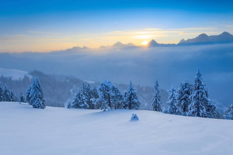 Bernese Alps