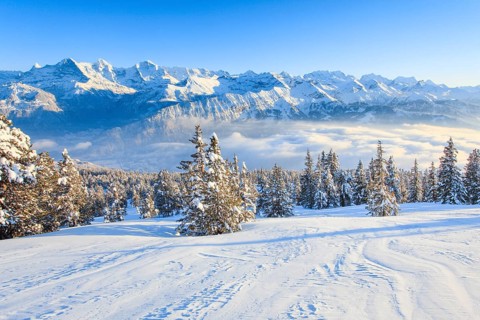 Bernese Alps