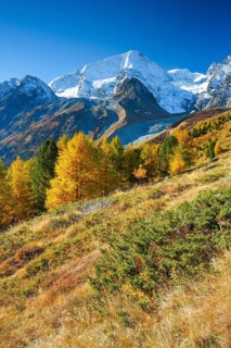 Pigne d'Arolla