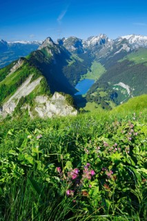 View Hoher Kasten