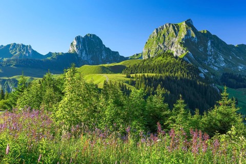 Swiss Pre-Alps