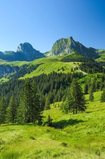 Swiss Pre-Alps