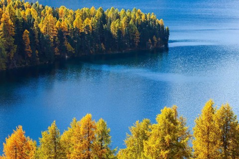 Silsersee