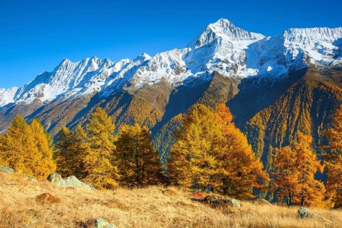 Bietschhorn