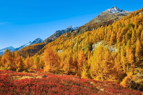 Fafleralp in the Loetschental