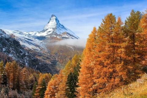 Matterhorn and larch