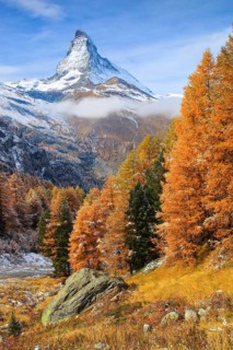Matterhorn and larch