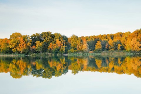 Burgaeschisee