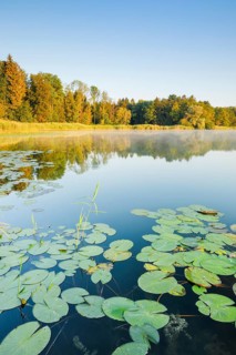 Burgaeschisee