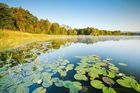 Burgaeschisee