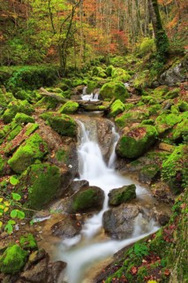 Twannbach Gorge