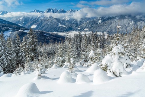 Winter landscape