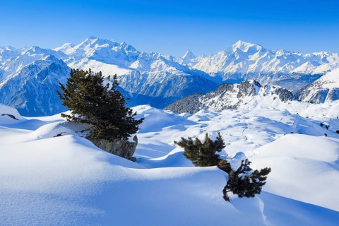 Swiss Alps