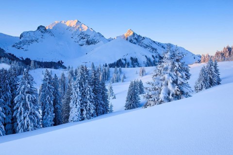 Swiss Prealps