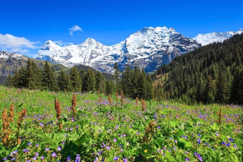 Eiger