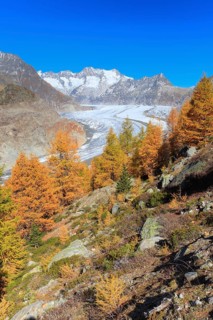 Great Aletsch Glacier and Wannenhorns