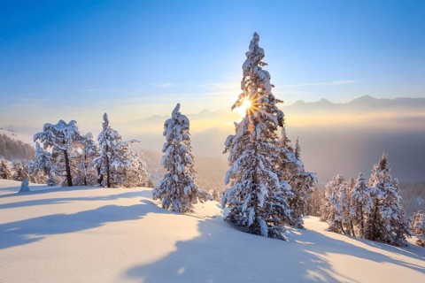Bernese Alps