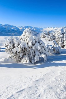 Bernese Alps