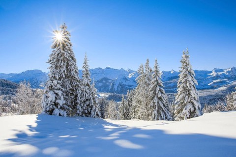 Central Swiss Alps