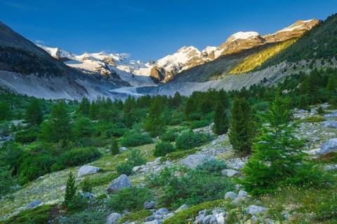 Morteratsch valley