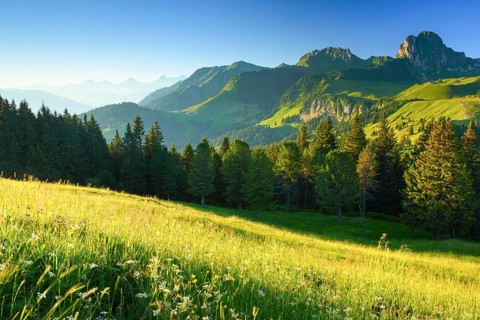 Swiss Pre-Alps and Alps