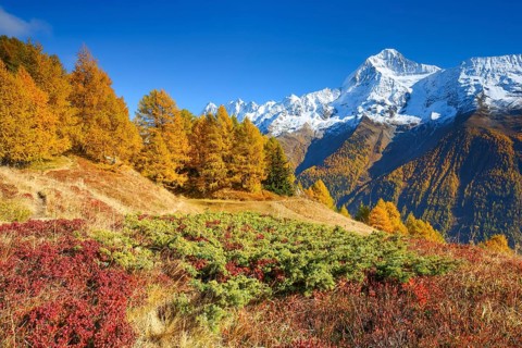 Bietschhorn