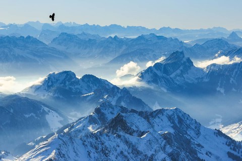 View from Saentis