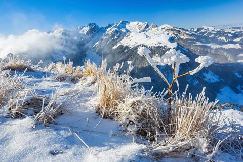 View Hoher Kasten