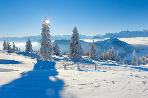 View from the Rigi