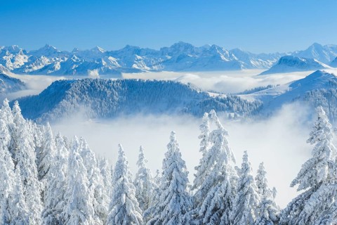 View from the Rigi