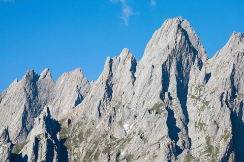 Engelhoerner