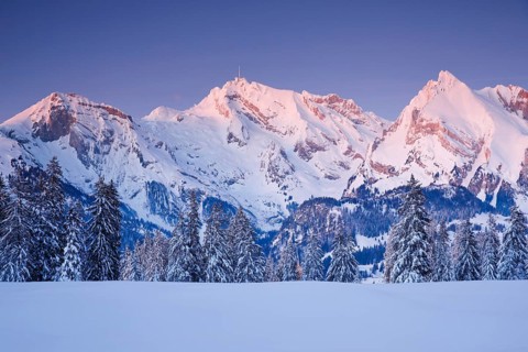 Saentis