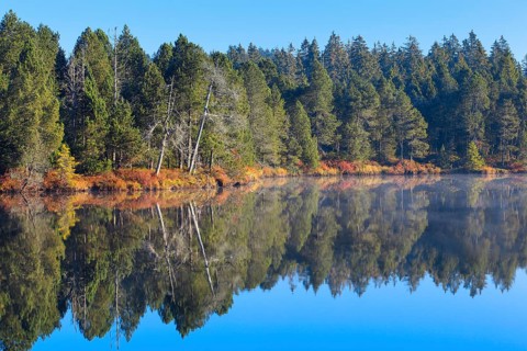 Etang de la Gruere