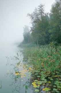 Burgaeschisee