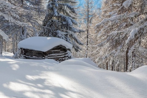 Winter landscape
