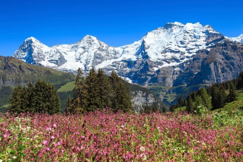 Eiger
