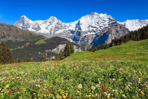 Eiger