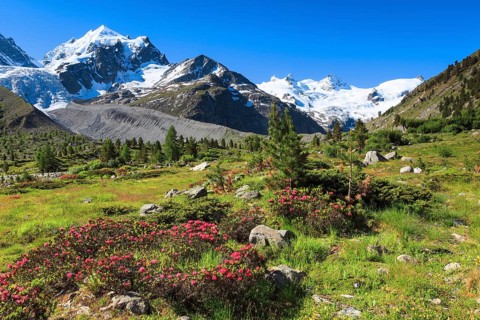 Val Roseg with Piz Roseg