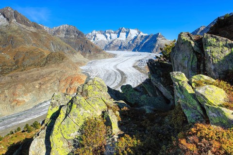 Great Aletsch Glacier and Wannenhorns